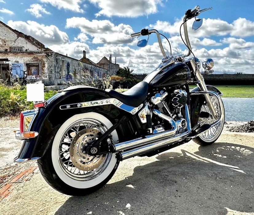 Escapes Freedom Performance  HD