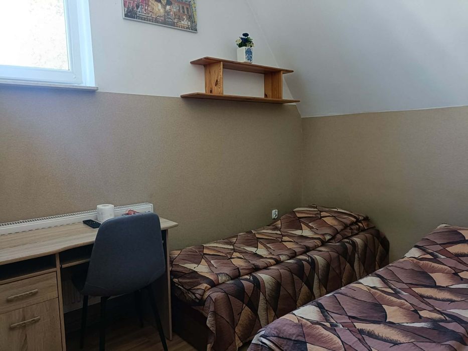 Zdjęcie 7