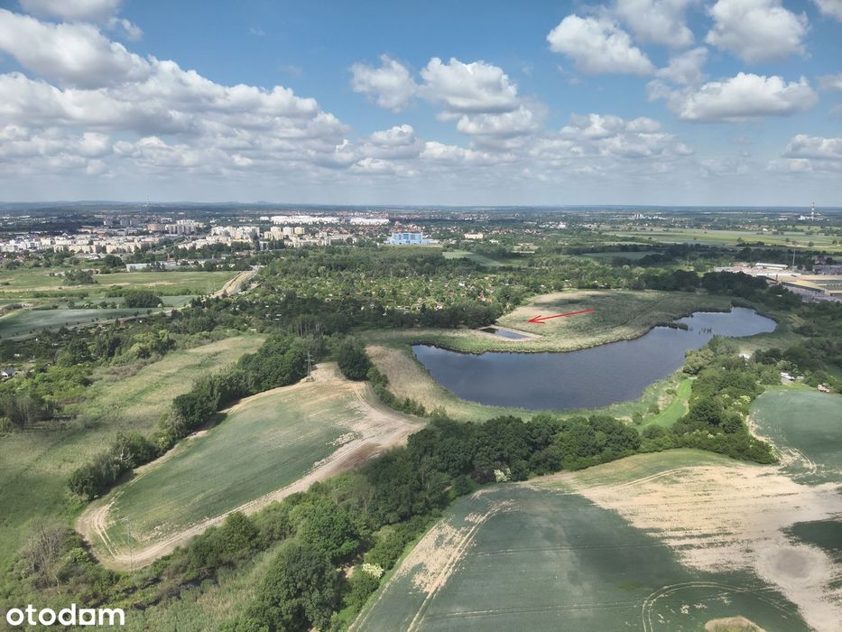 Działka pod miastem wśród drzew nadająca się na własny staw rybny