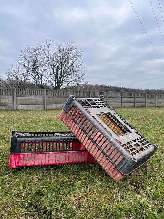 Pojemniki Skrzynki klatki do transportu przewozu drobiu