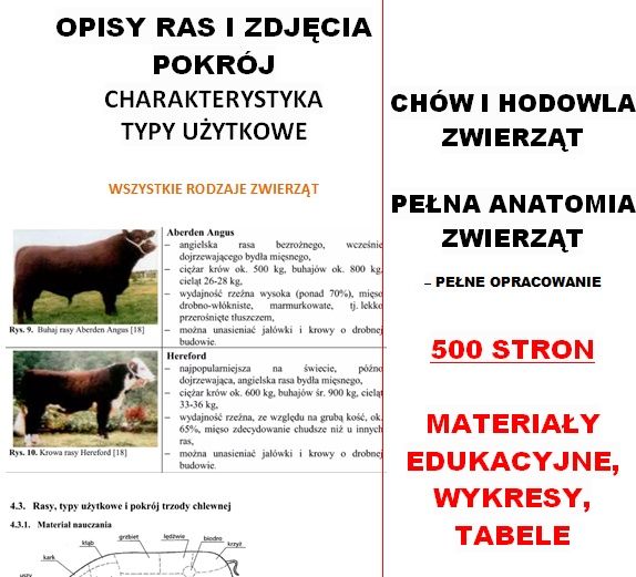 NOTATKI Technik weterynarii 2026 - Chów i hodowla zwierząt ANATOMIA