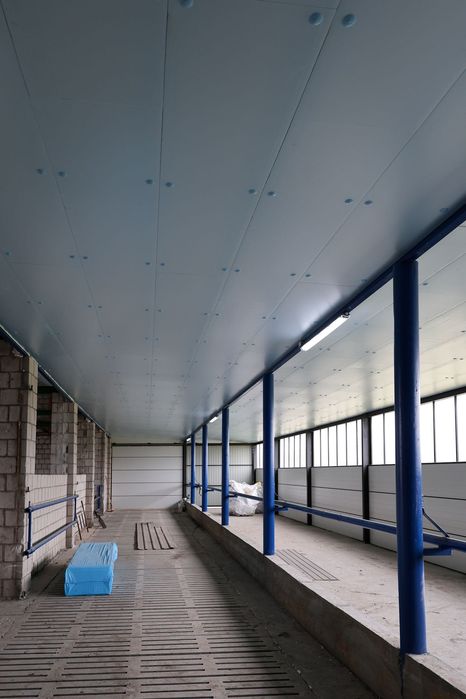 Płyta Izolacyjna Styrodur XPS AGRO Ocieplenie Do Obory Kurnika Chlewni