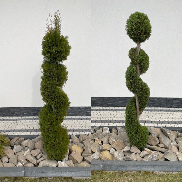 Wycinka i sprzątanie działek, usługi ogrodnicze,koszenie trawy