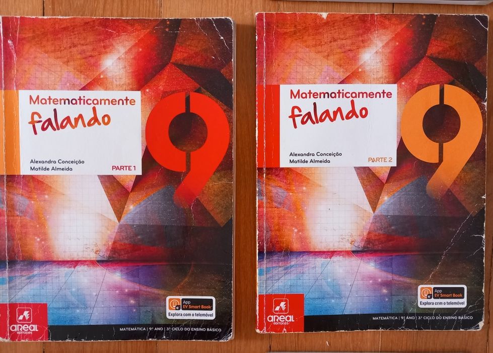 Manuais e cadernos de atividades 9° ano.