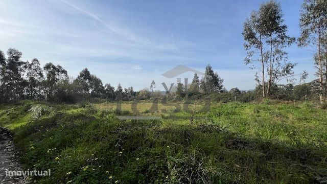 Terreno rústico com 24450m2 em Olival, Vila Nova de Gaia.