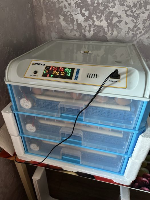 Інкубатор автоматичний Птаха 180-OR (220/12в)