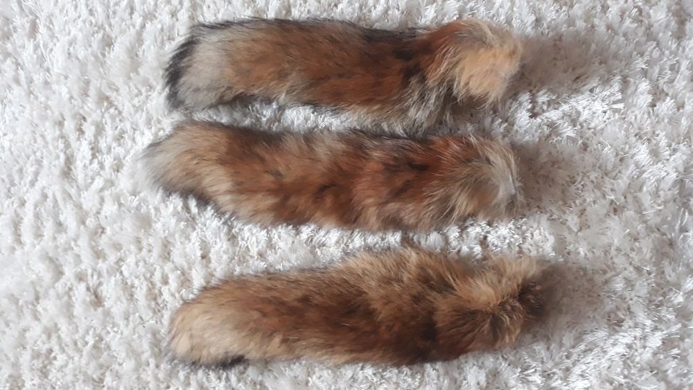 лисячий хвостик