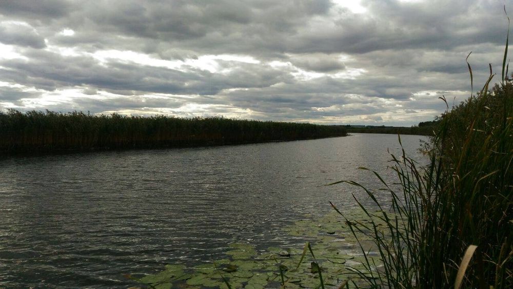 Продам участок 2га на берегу реки Мжа, в с.Тимченки