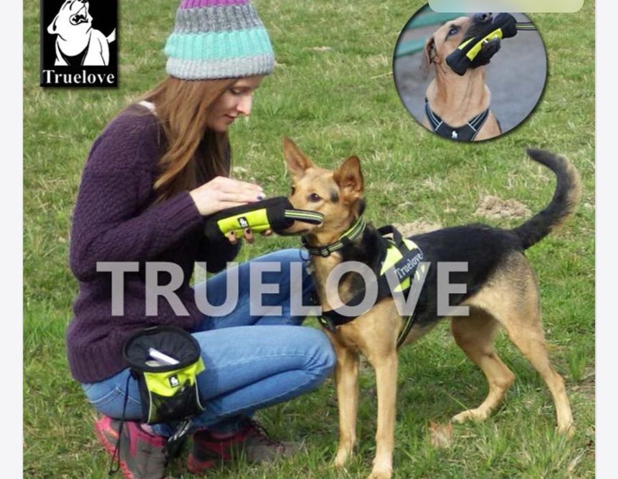 Bolsa snacks/treino cão - - NOVA - -