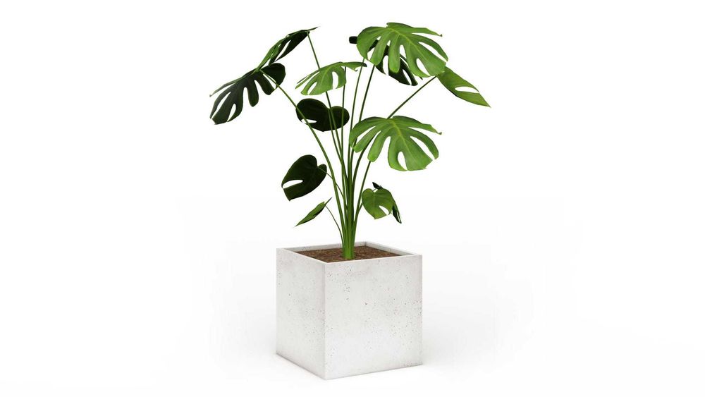 Donica betonowa | donice betonowe | beton architektoniczny | ARTLINE