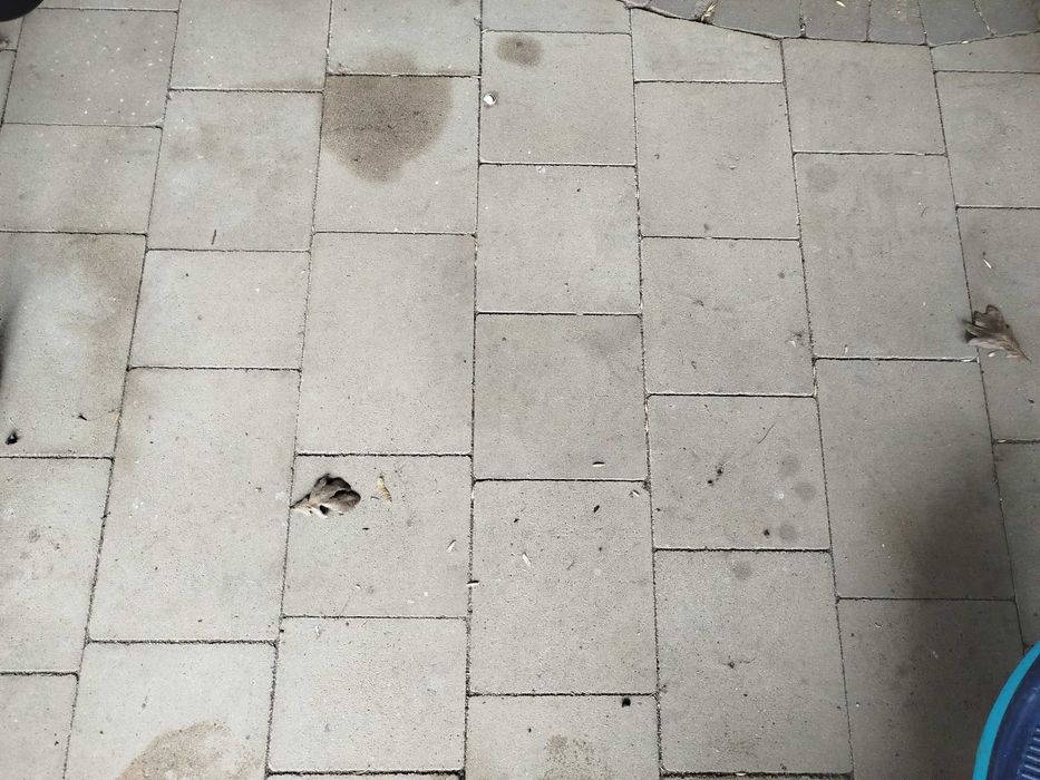 Kostka brukowa buszrem