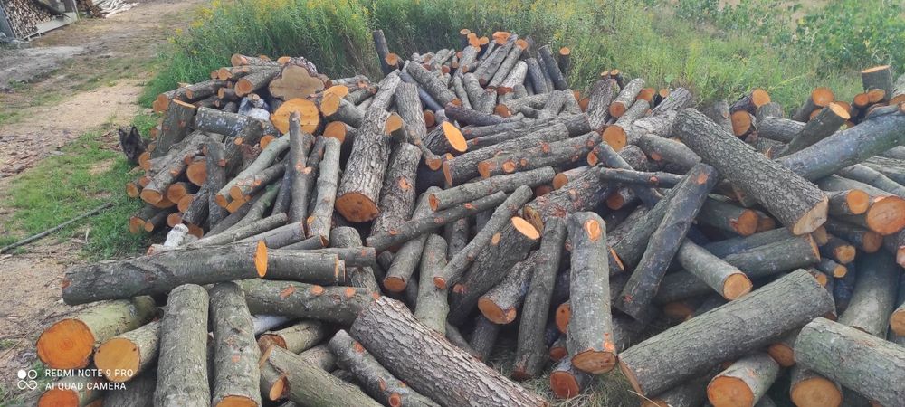 Sprzedam drzewo opałowe