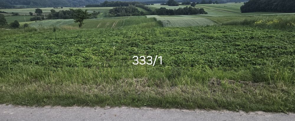 Sprzedam pole 7,6ha działki