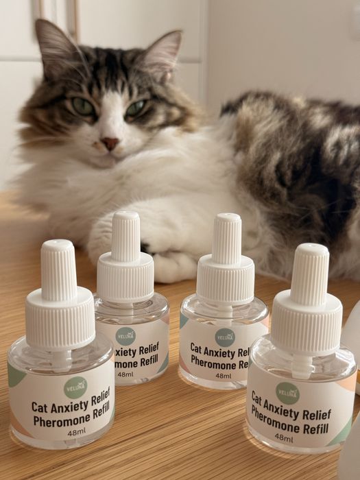 2 difusores + 4 recargas VELUNA para gatos