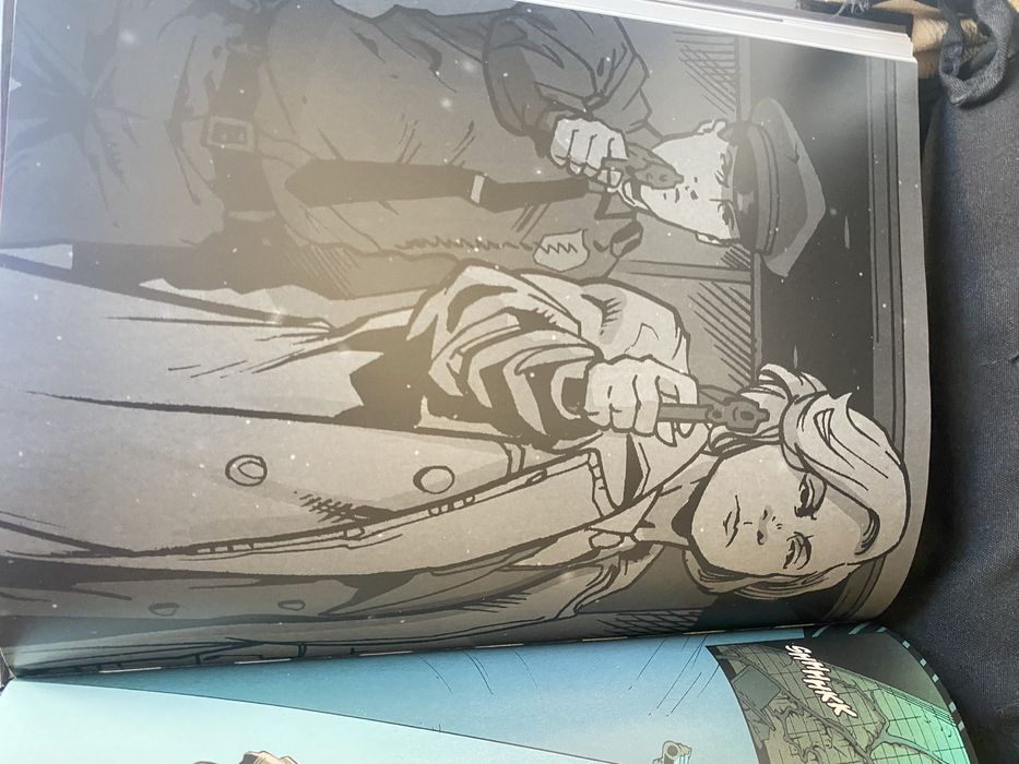 Livro da Série Stranger Things -Volume 6