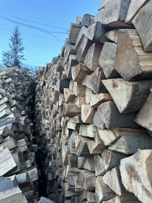 Дрова бук, дуб, граб