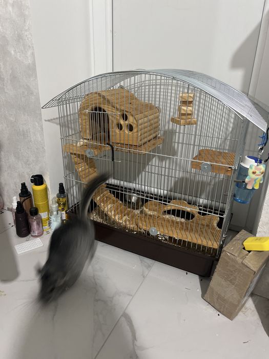 Клітка для шиншилли
