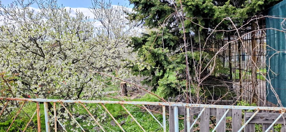 Продам дачу Червоний садок