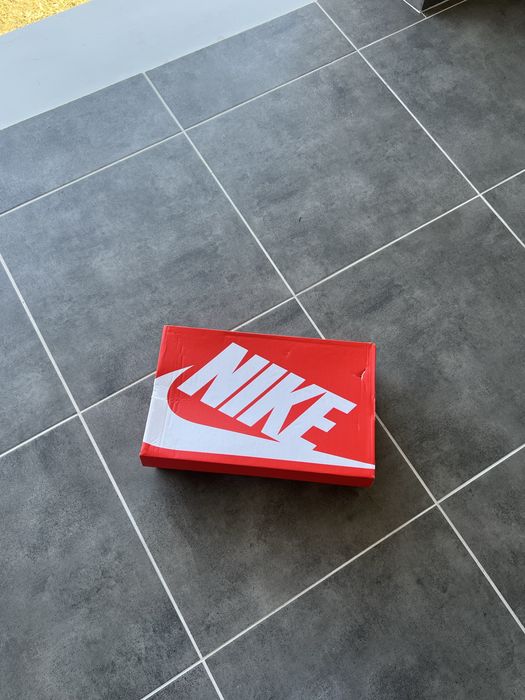 Кросівки Nike Dunk Low