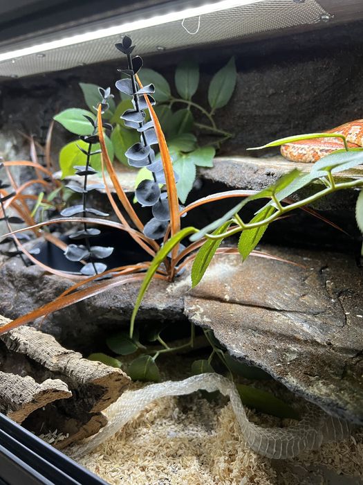 Terrarium 90cm dla węża