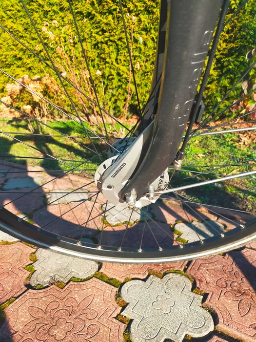 Rower Holenderski Gazelle Eclipse