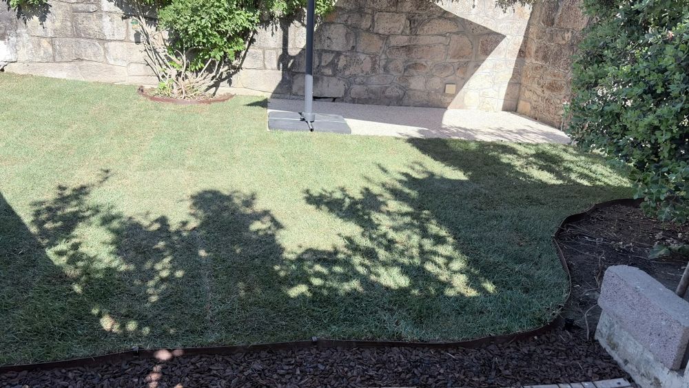 Jardinagem e limpeza de terrenos