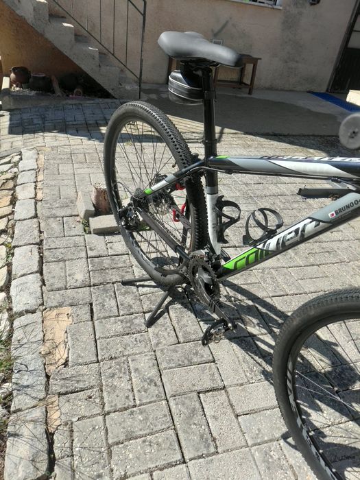 Coluer Ascent  29"