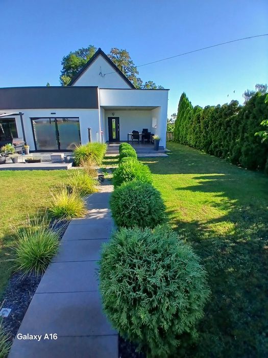 dom, mieszkanie, hala magazyn, biuro/ house for rent