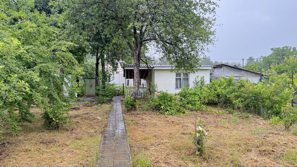 Продаж дачі поряд з лісом ,  СТ « Лазур» , ЗАЗ