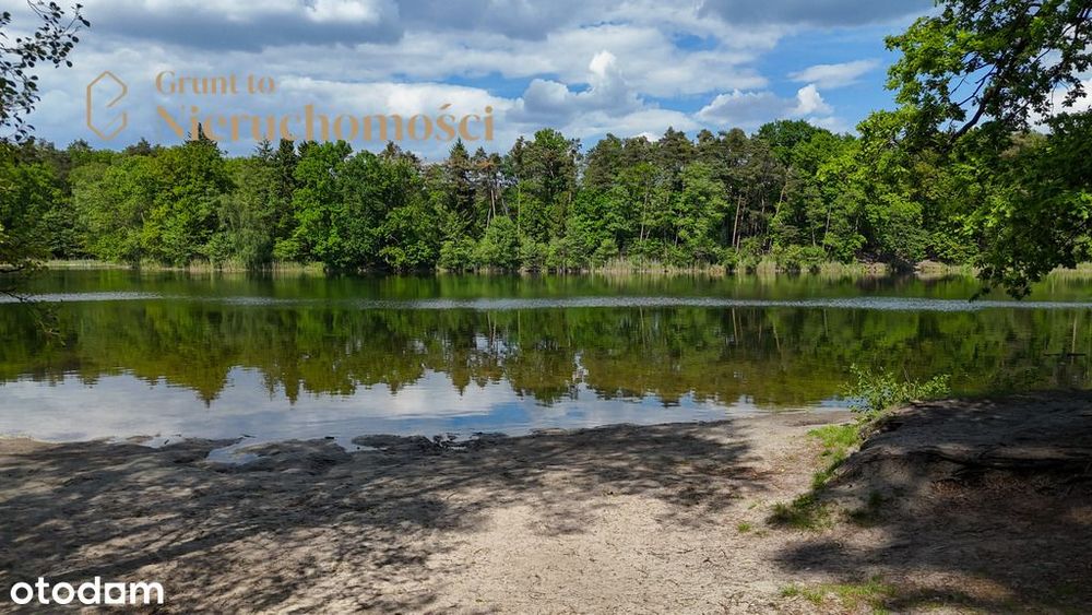 Działka budowlana ze ścianą parku krajobrazowego