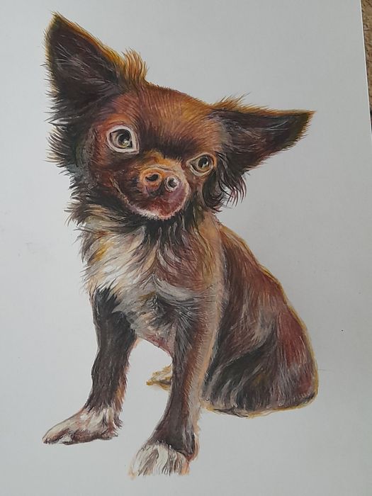 Портрети по фото,картини, розмальовка стін