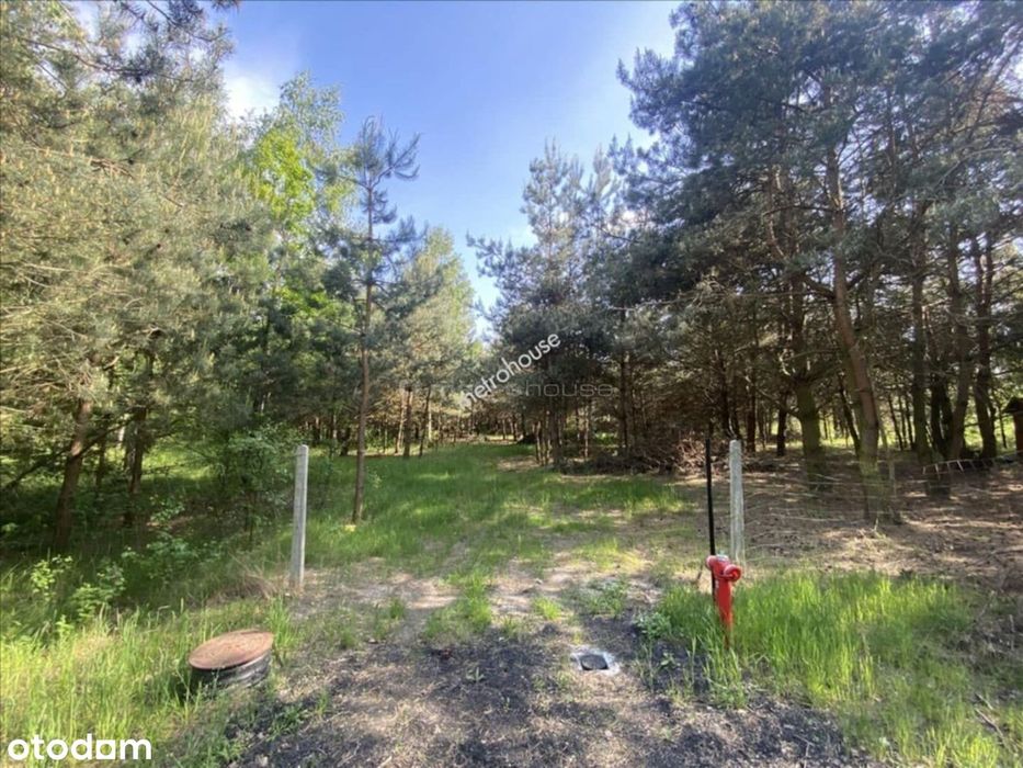 Działka na sprzedaż, Kownaciska