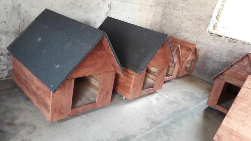 Buda dla psa bardzo duża i solidna