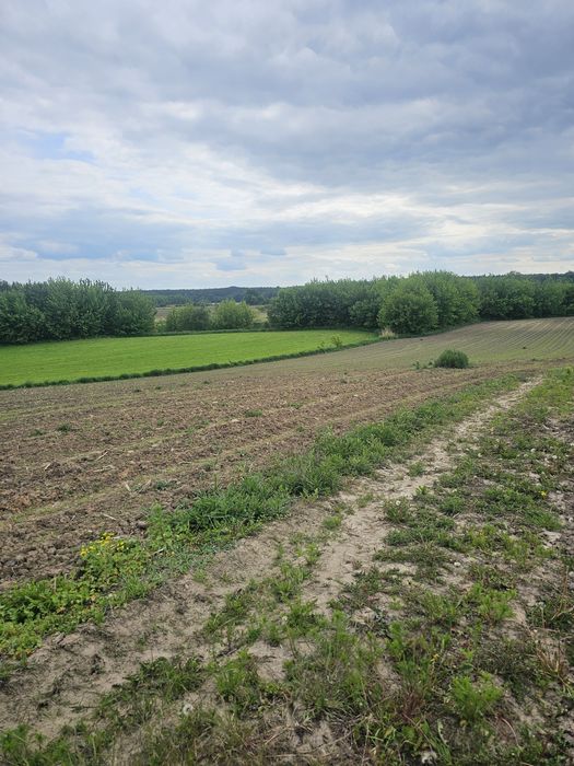 Działka Budowlana Pruszków