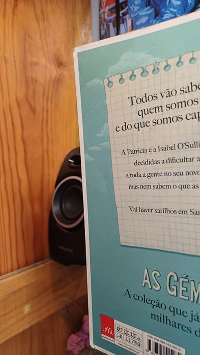 As gêmeas no colégio de santa clara