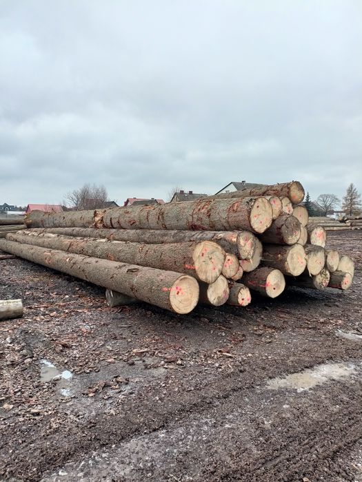 Sprzedam drewno świerk dłużyca, bale na dom