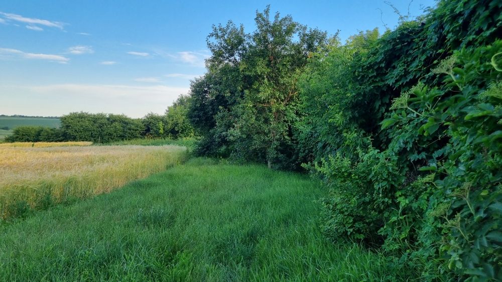 Продаж будинку 100 кв м з меблями та технікою біля Кропивницького