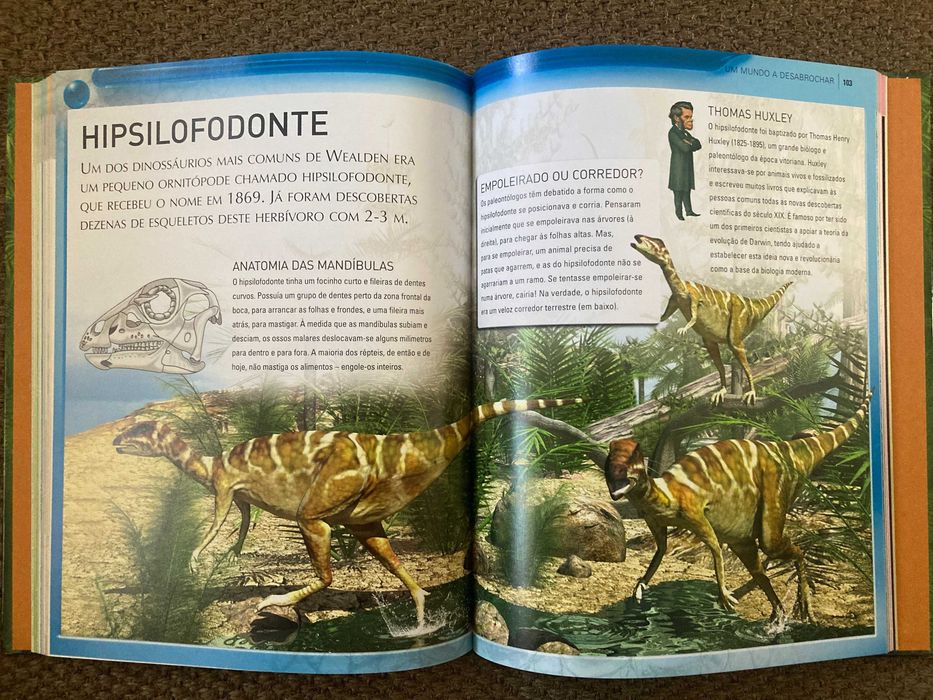 Livros sobre dinossauros