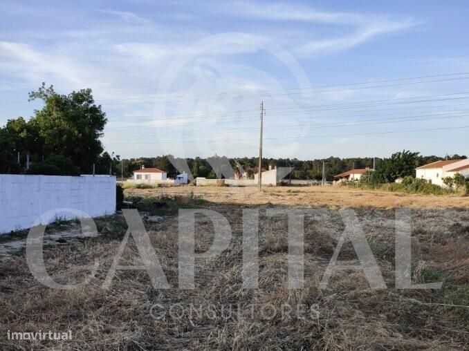 Terreno Usado para Venda — Salvaterra De Magos E Foros De Salvaterra, Santarém