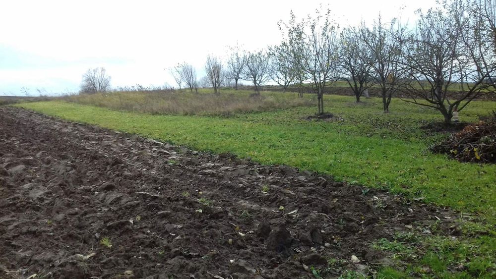 Продам земельну ділянку