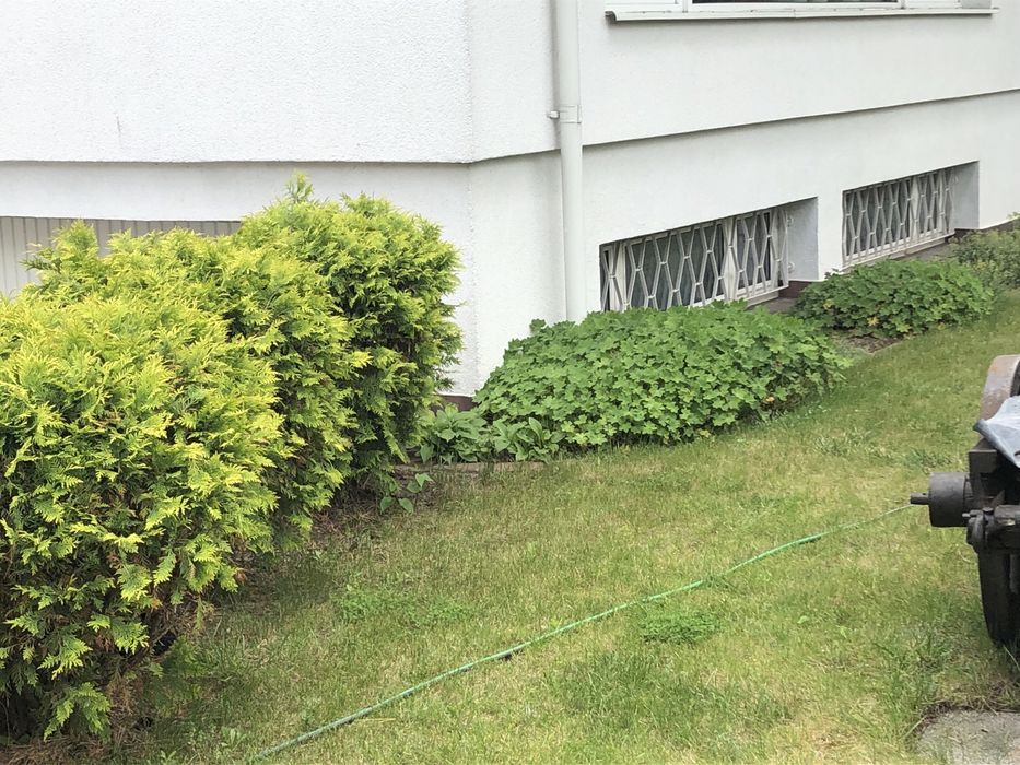 Od Natychmiast! Dwa garaże 60 m² za 4000zł i 36 m² za2500zł do wynajęcia - Widok 3