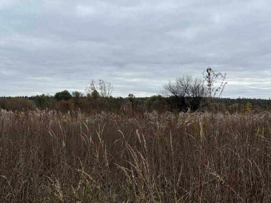 Продаж Ірпінь 164 сотки біля річки