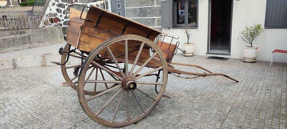 Charrete para cavalo do sec. XIX