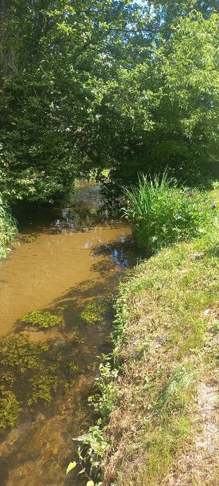 Domek nad samą rzeczką i stawem z sauną i jacuzzi