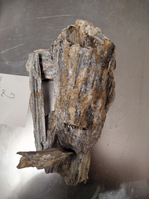 Sprzedam kompozycję do akwarium