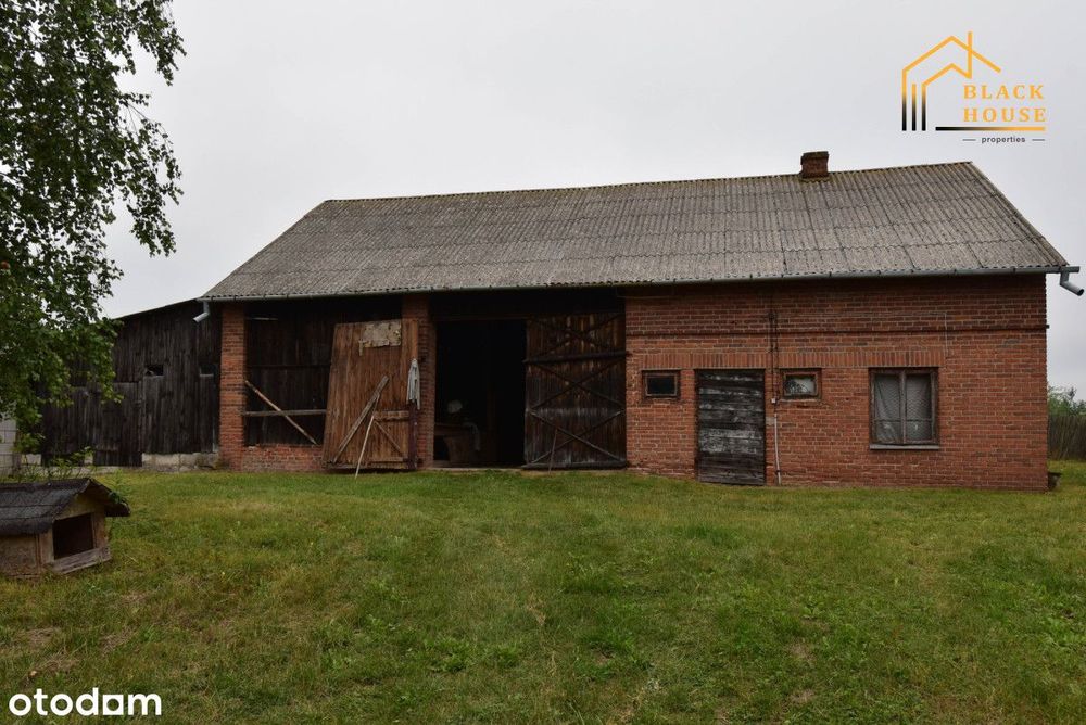 *Siedlisko 5 km od Kazimierza Dolnego*