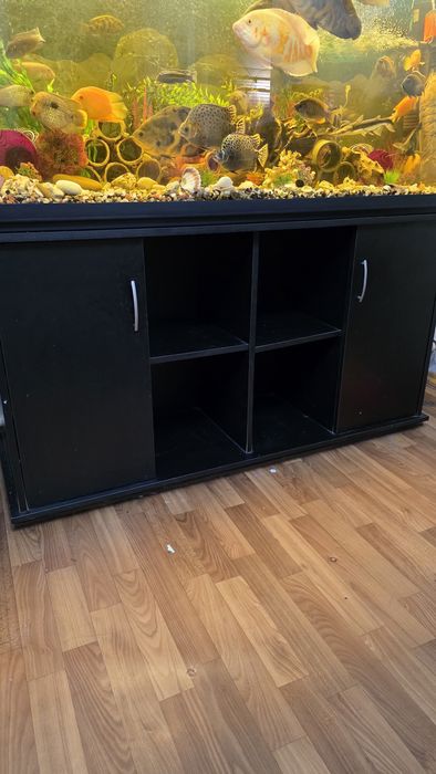 Акваріум 500 літрів