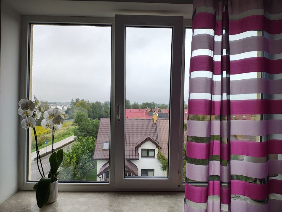 Zdjęcie 2