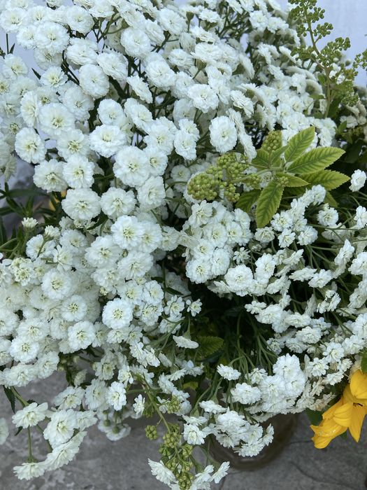 ПРОДАМ будинок в селі ВЕЛИКІ ДМИТРОВИЧИ до Києва 20 км