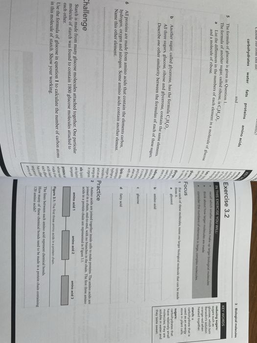 IGCSE cambridge , 4 workbooks